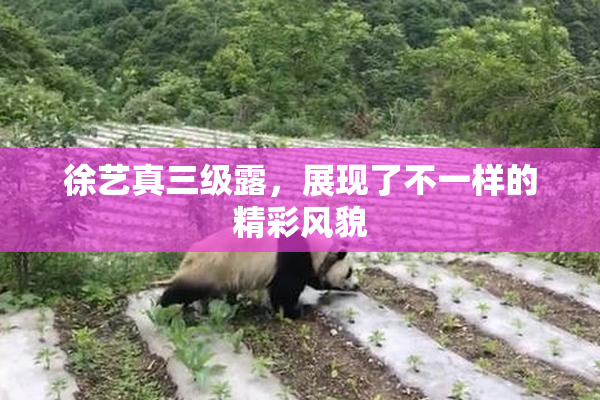 徐艺真三级露，展现了不一样的精彩风貌