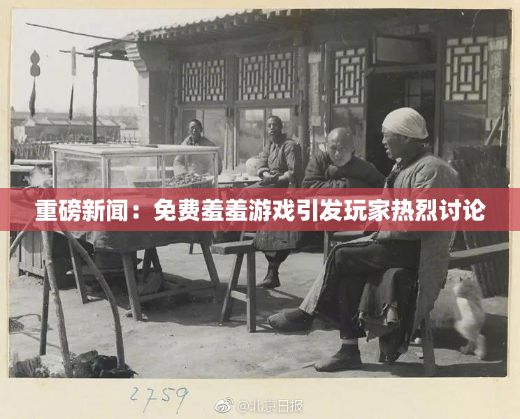 重磅新闻：免费羞羞游戏引发玩家热烈讨论