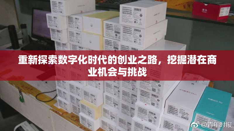 重新探索数字化时代的创业之路，挖掘潜在商业机会与挑战