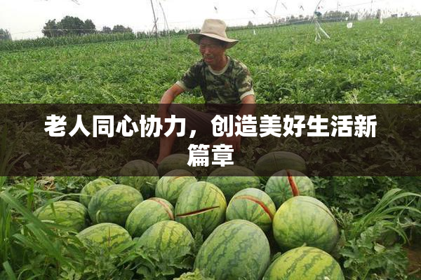 老人同心协力，创造美好生活新篇章