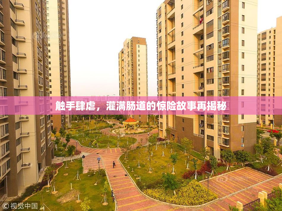 触手肆虐，灌满肠道的惊险故事再揭秘