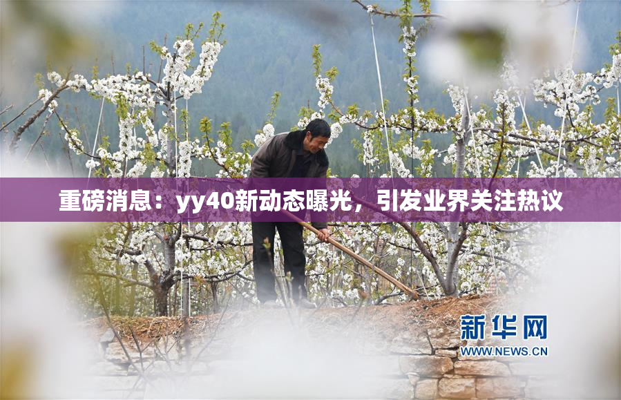 重磅消息：yy40新动态曝光，引发业界关注热议
