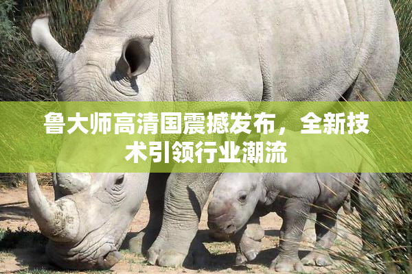 鲁大师高清国震撼发布，全新技术引领行业潮流