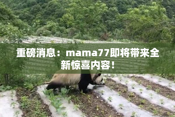 重磅消息：mama77即将带来全新惊喜内容！