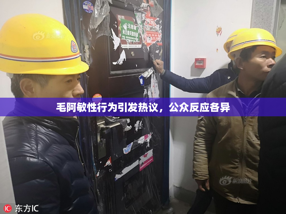 毛阿敏性行为引发热议，公众反应各异