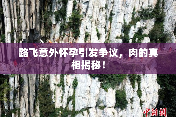 路飞意外怀孕引发争议，肉的真相揭秘！