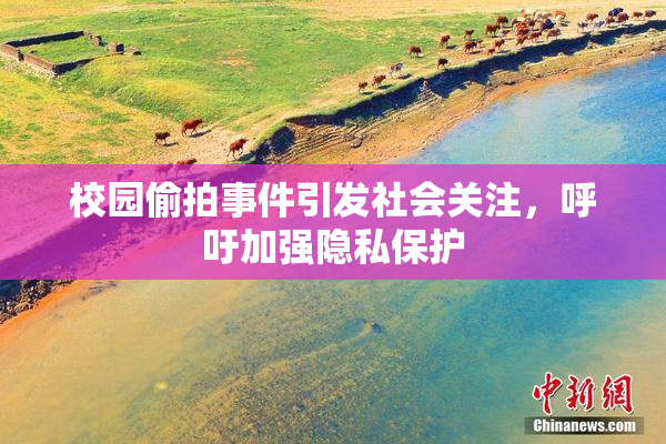 校园偷拍事件引发社会关注，呼吁加强隐私保护