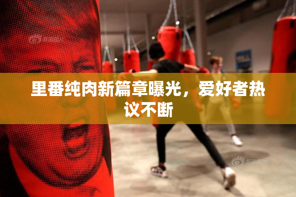 里番纯肉新篇章曝光，爱好者热议不断