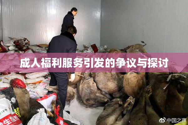 成人福利服务引发的争议与探讨