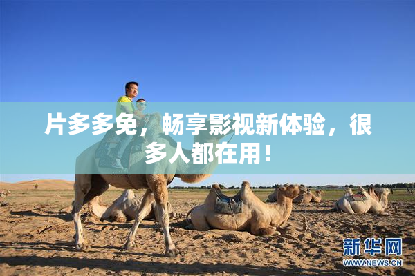 片多多免，畅享影视新体验，很多人都在用！
