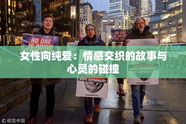 女性向纯爱：情感交织的故事与心灵的碰撞