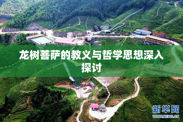 龙树菩萨的教义与哲学思想深入探讨