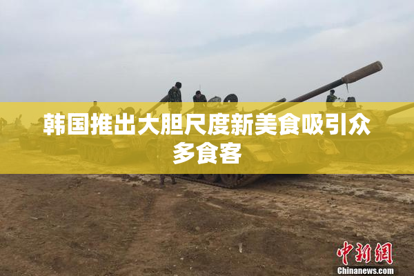 韩国推出大胆尺度新美食吸引众多食客