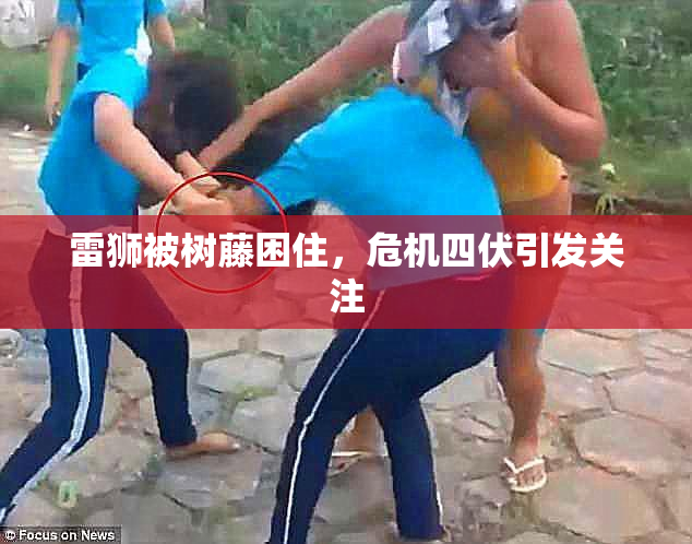 雷狮被树藤困住，危机四伏引发关注
