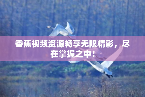 香蕉视频资源畅享无限精彩，尽在掌握之中！