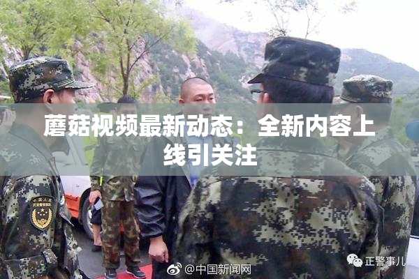 蘑菇视频最新动态：全新内容上线引关注