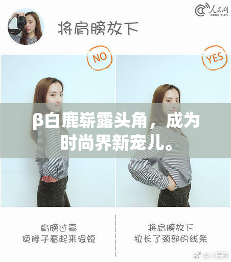 β白鹿崭露头角，成为时尚界新宠儿。