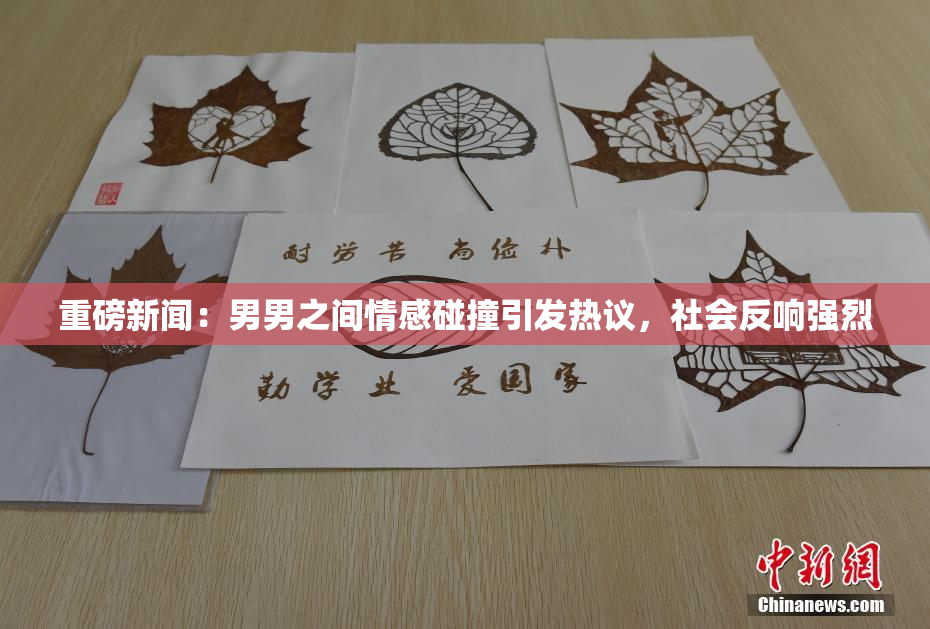 重磅新闻：男男之间情感碰撞引发热议，社会反响强烈