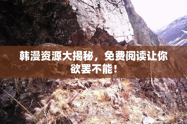 韩漫资源大揭秘，免费阅读让你欲罢不能！