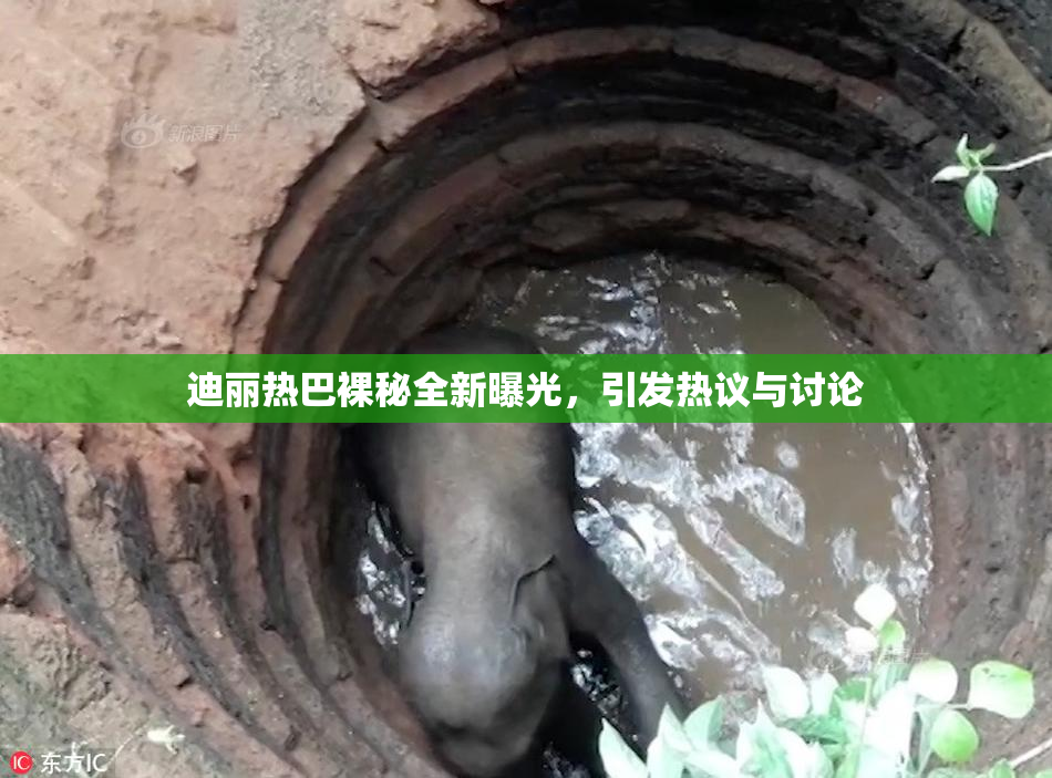 迪丽热巴裸秘全新曝光，引发热议与讨论