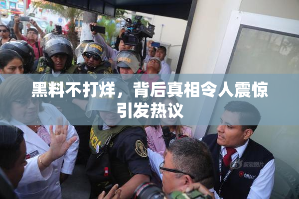 黑料不打烊，背后真相令人震惊引发热议