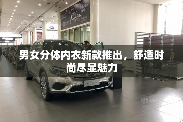 男女分体内衣新款推出，舒适时尚尽显魅力
