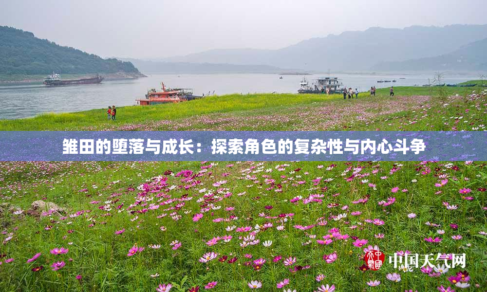 雏田的堕落与成长：探索角色的复杂性与内心斗争