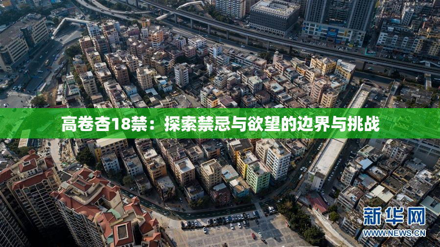 高卷杏18禁：探索禁忌与欲望的边界与挑战