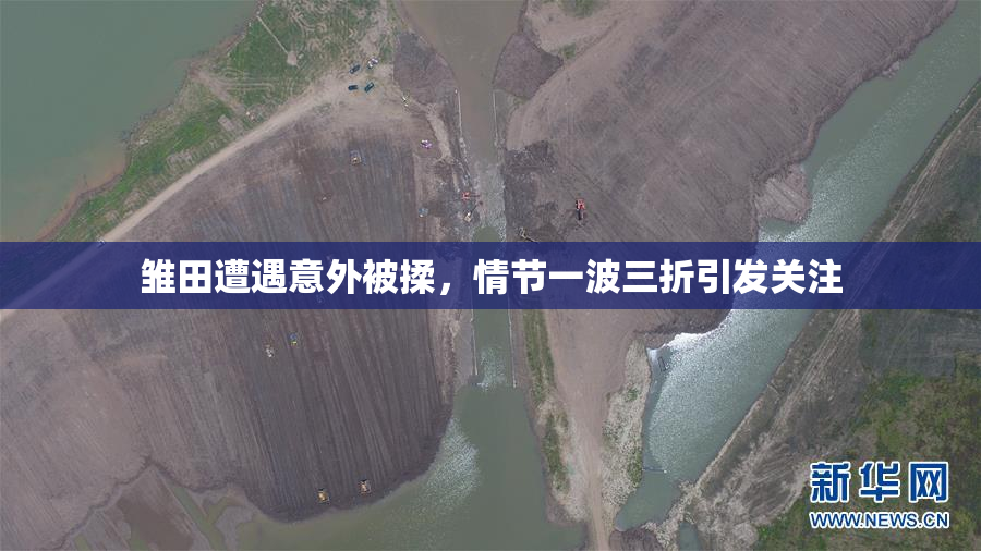 雏田遭遇意外被揉，情节一波三折引发关注