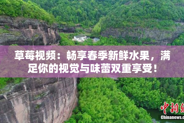 草莓视频：畅享春季新鲜水果，满足你的视觉与味蕾双重享受！