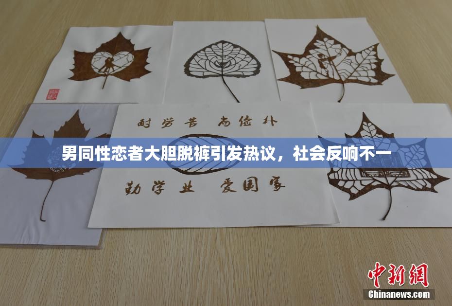 男同性恋者大胆脱裤引发热议，社会反响不一