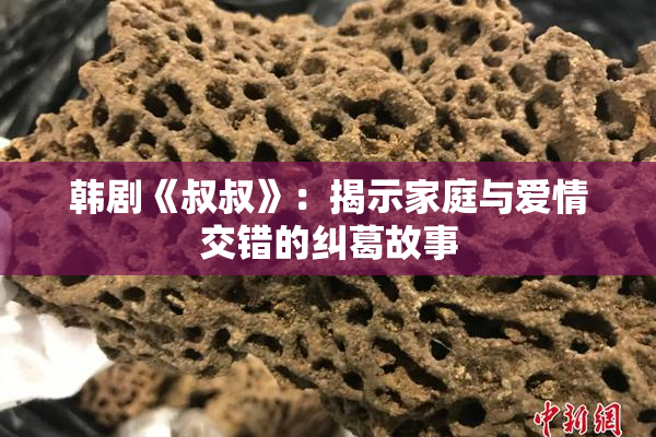 韩剧《叔叔》：揭示家庭与爱情交错的纠葛故事