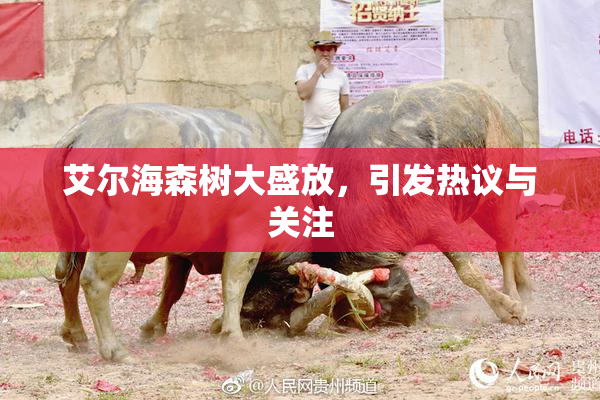 艾尔海森树大盛放，引发热议与关注