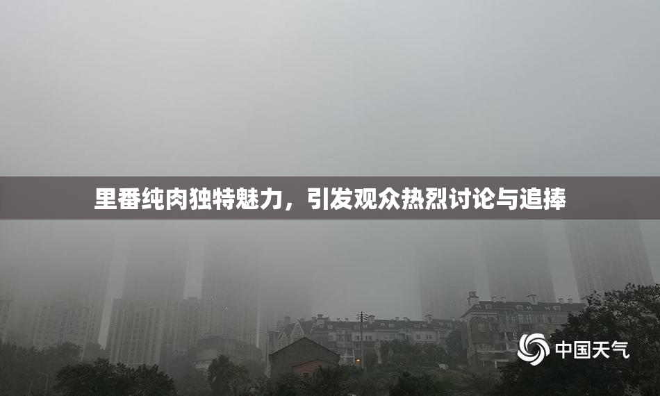 里番纯肉独特魅力，引发观众热烈讨论与追捧