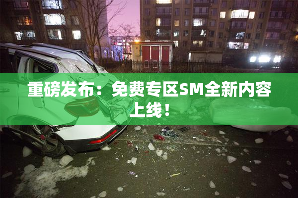重磅发布：免费专区SM全新内容上线！