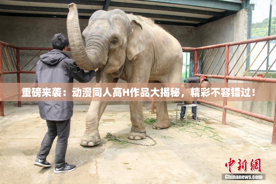 重磅来袭：动漫同人高H作品大揭秘，精彩不容错过！