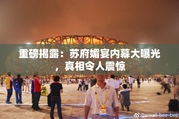 重磅揭露：苏府媚宴内幕大曝光，真相令人震惊