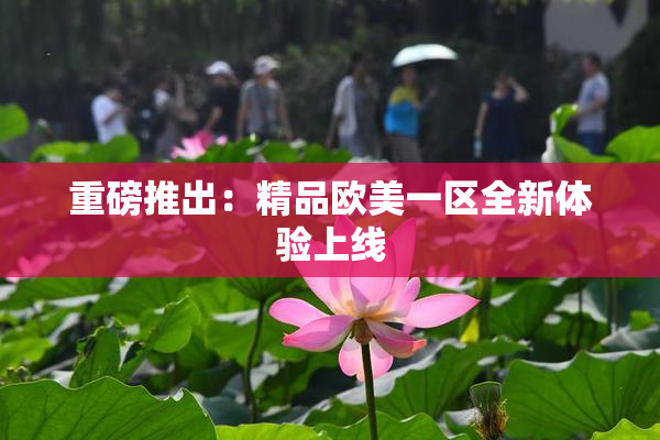 重磅推出：精品欧美一区全新体验上线