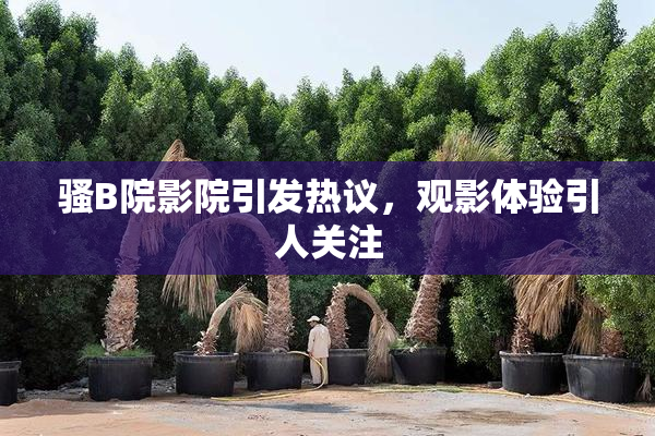 骚B院影院引发热议，观影体验引人关注