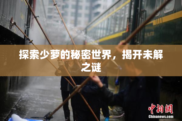 探索少萝的秘密世界，揭开未解之谜