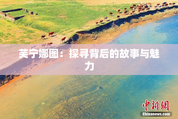 芙宁娜图：探寻背后的故事与魅力