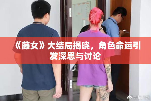 《藤女》大结局揭晓，角色命运引发深思与讨论