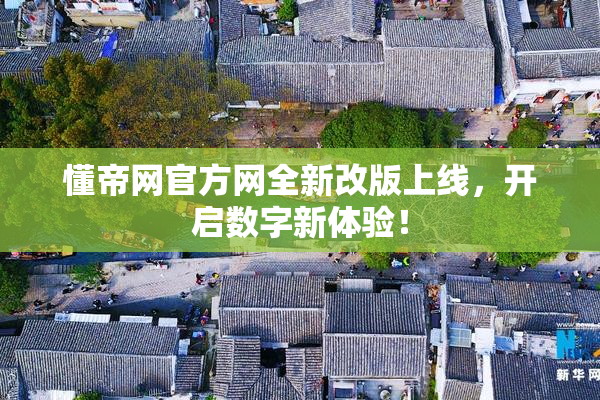 懂帝网官方网全新改版上线，开启数字新体验！