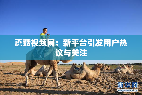 蘑菇视频网：新平台引发用户热议与关注
