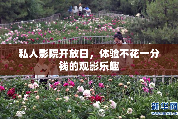 私人影院开放日，体验不花一分钱的观影乐趣