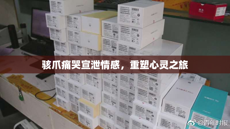 骇爪痛哭宣泄情感，重塑心灵之旅