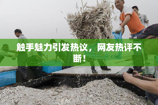 触手魅力引发热议，网友热评不断！