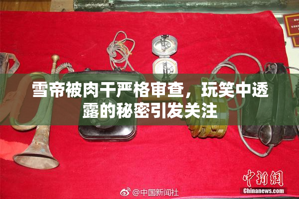 雪帝被肉干严格审查，玩笑中透露的秘密引发关注