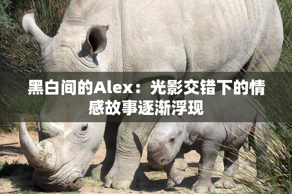 黑白间的Alex：光影交错下的情感故事逐渐浮现