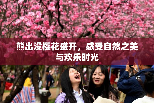 熊出没樱花盛开，感受自然之美与欢乐时光
